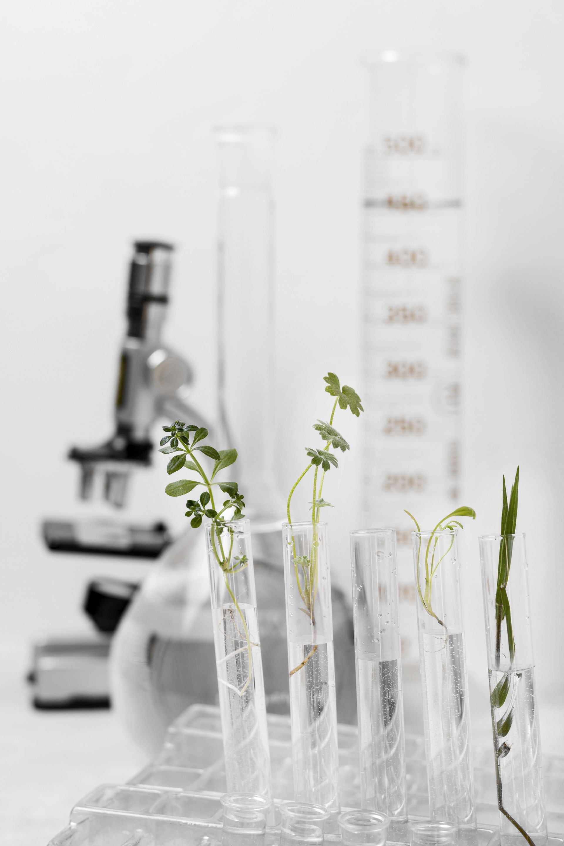 Product  for Seniors